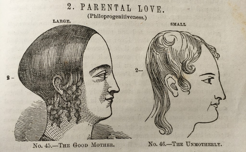 Under the heading "Parental Love: Philoprogenitiveness" we see a "Large" curve of the head on the right attributed to "The Good Mother" and a relative lack of cranial curve attributed to "The Unmotherly."